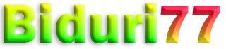 BIDURI77
